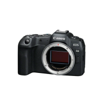 Canon R8 + RF 50mm f/1.8 STM Kit